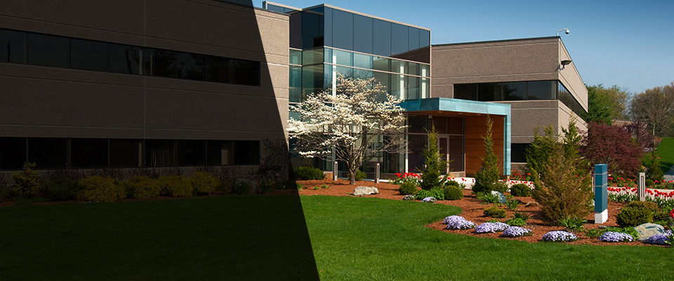 Twentynine Palms Landscapers