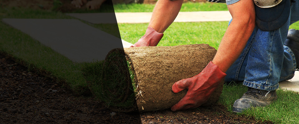 Twentynine Palms Landscapers